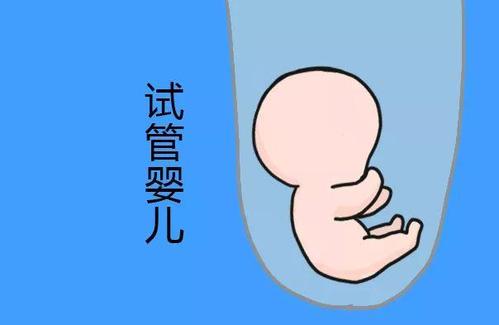 私人代怀公司
